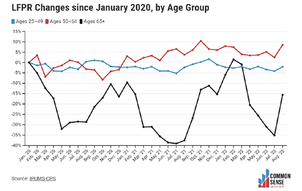 Monthly trends may be volatile and should be interpreted cautiously.